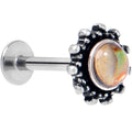 16G 5/16 Brown Faux Shell Circle of Glam Labret Monroe Tragus