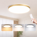 Stepless Dimming LED Ceiling Light Waterproof Remote Control 30W-50W Living Bedroom