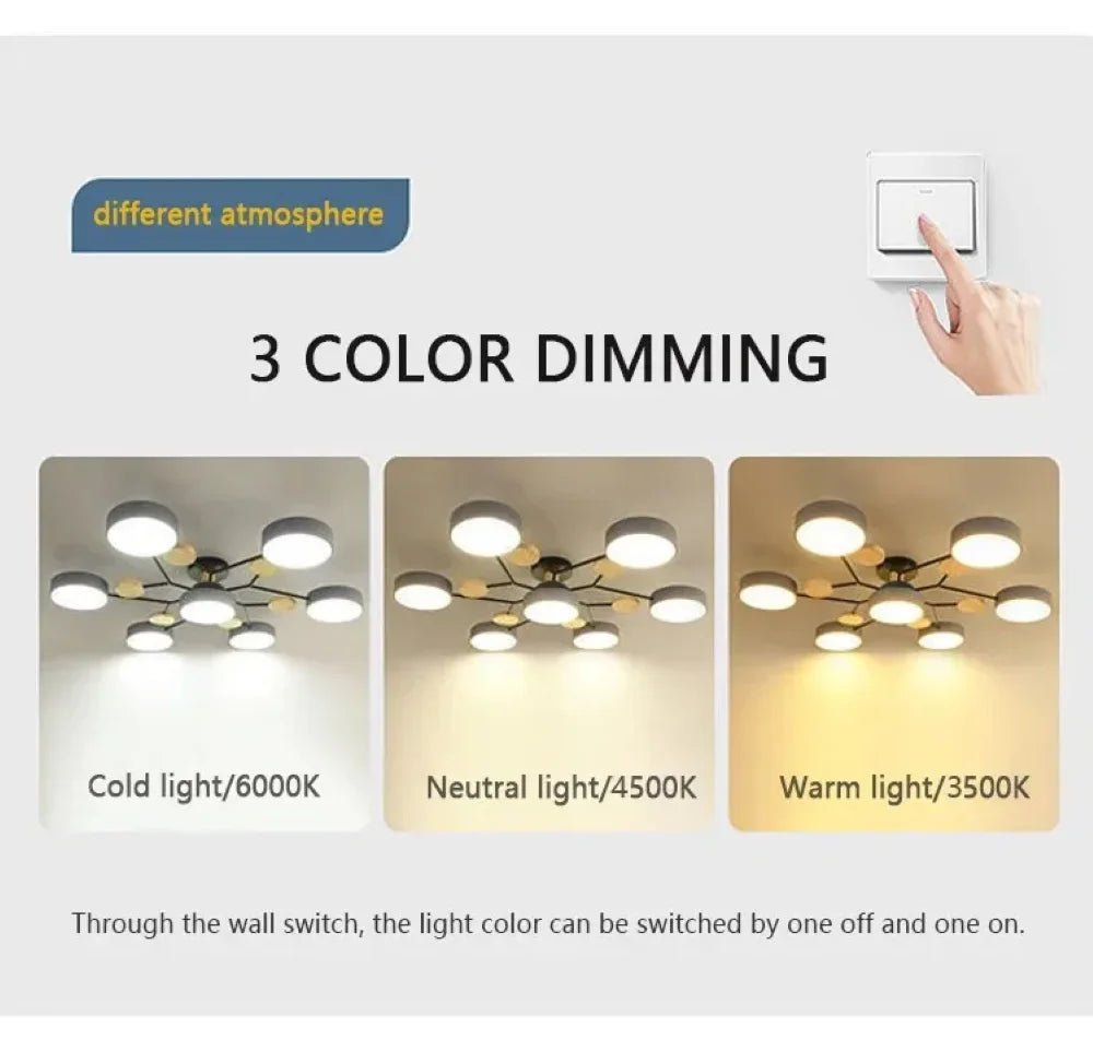 IRALAN LED Ceiling Chandelier 3-Color Pendant Light for Bedroom Living Room Hotel