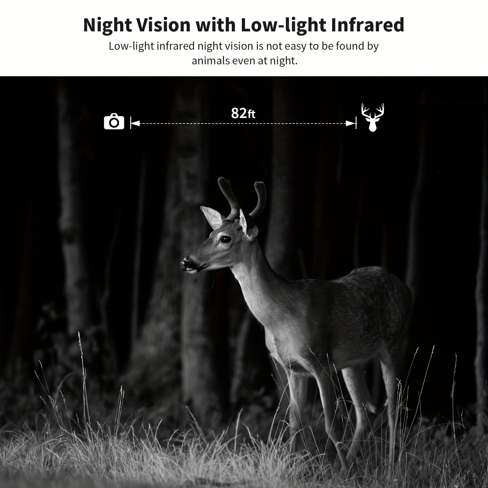 4K Hunting Trail Camera with 4G Live View - Solar Powered, 0.2s Trigger & Auto Night Vision